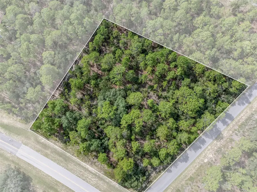 7293 N Windbrook Drive, Citrus Springs, FL 34433 - #2