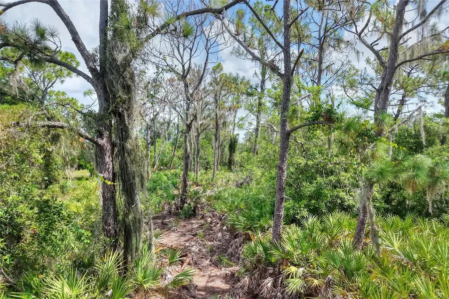 SE 33rd Street, Ruskin, FL 33570 - #3