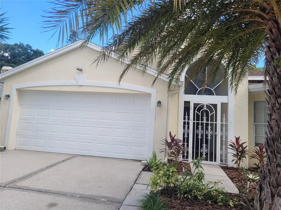28935 Stormcloud Pass, Wesley Chapel, FL 33543 - #2