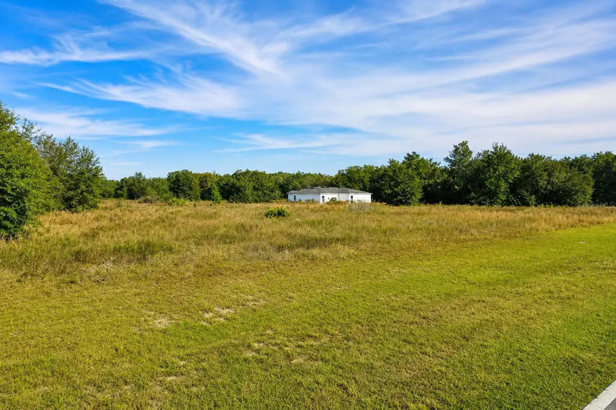 Se 113th St Rd, Ocklawaha, FL 32179 - #1