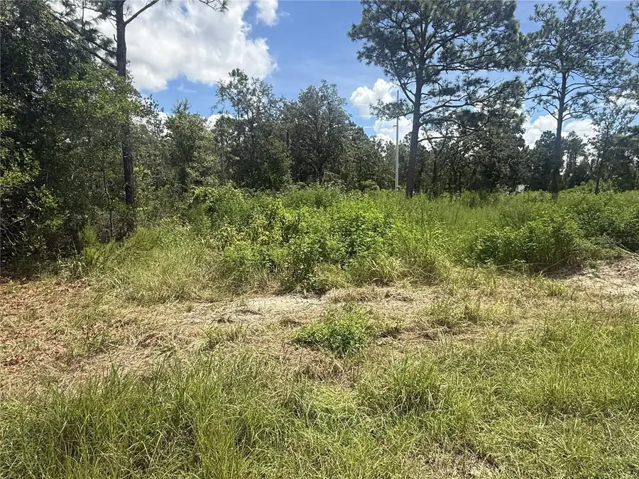 12220 Marvelwood Road, Weeki Wachee, FL 34614 - #2