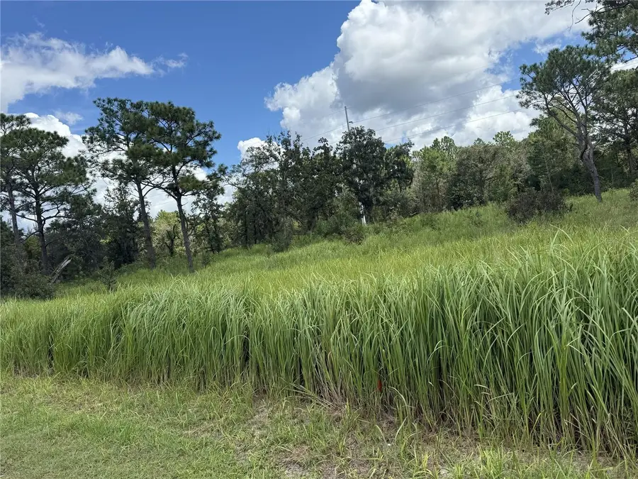 12220 Marvelwood Road, Weeki Wachee, FL 34614 - #3