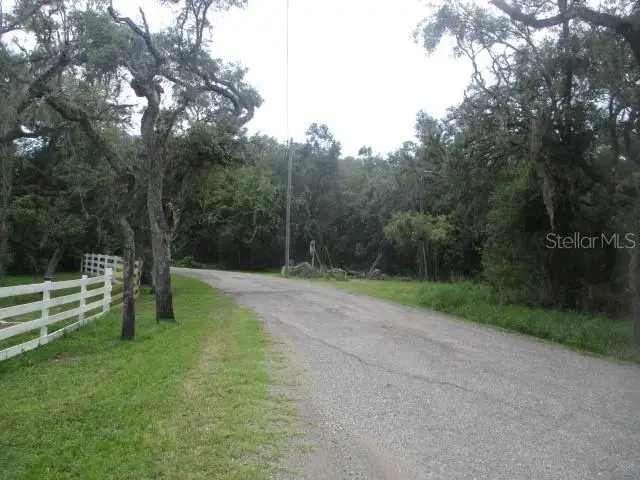 35236 Reynolds Street, Dade City, FL 33523 - #2