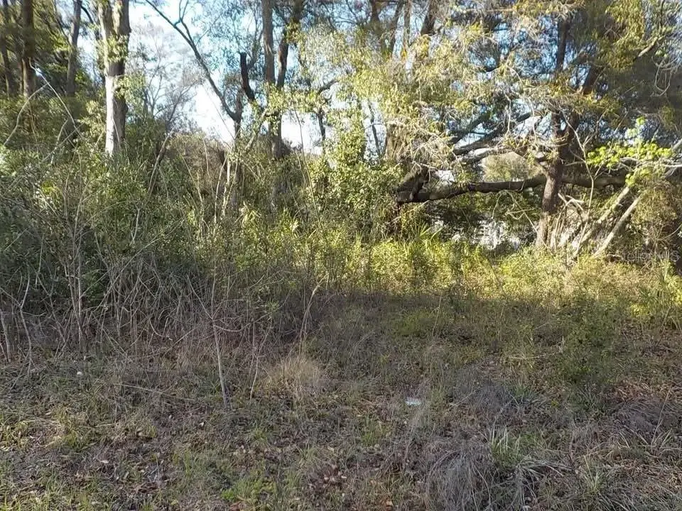 0 SE 139th Lane #LOT 43, Summerfield, FL 34491 - #1