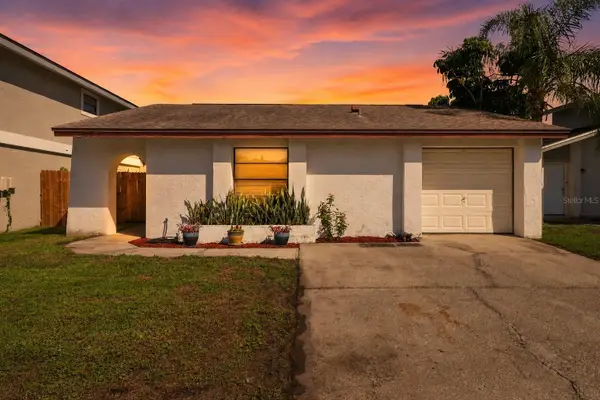 10311 Chadbourne Drive, TAMPA, FL 33624