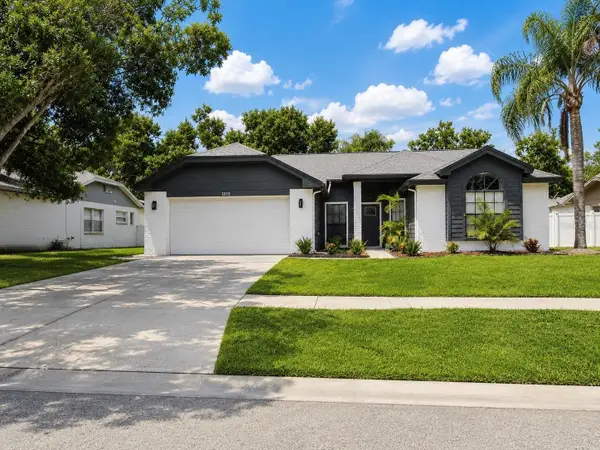 12111 Wildbrook Drive, RIVERVIEW, FL 33569