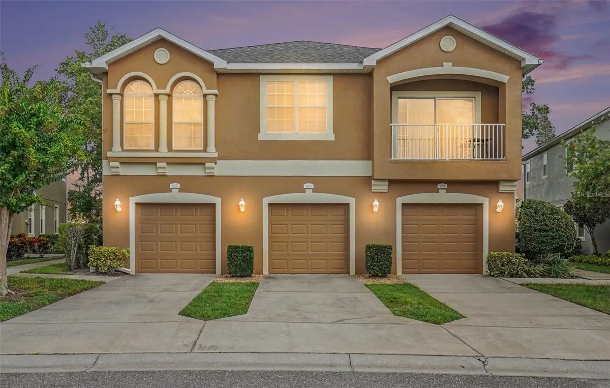 9005 Moonlit Meadows Loop, Riverview, FL 33578 - #1