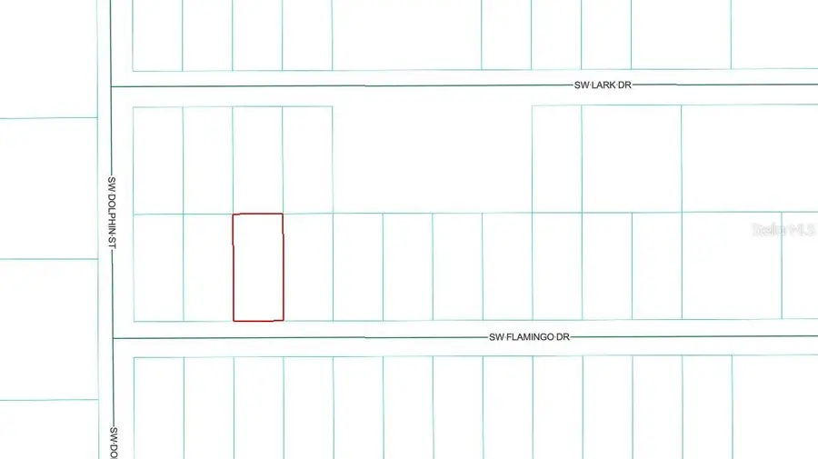 19901 Flamingo Drive, Dunnellon, FL 34431 - #2