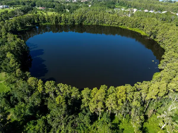 TBD Collier Parkway, LAND O LAKES, FL 34639