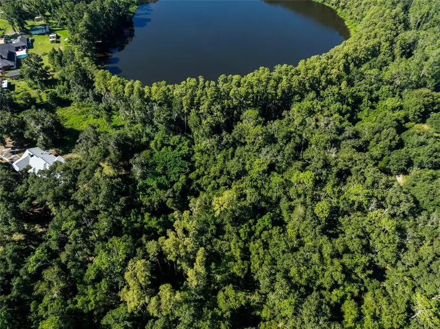 TBD Collier Parkway, Land O Lakes, FL 34639 - #2