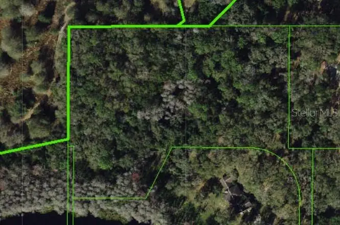 TBD Collier Parkway, Land O Lakes, FL 34639 - #3