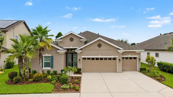 8118 Water Color Drive, LAND O LAKES, FL 34638