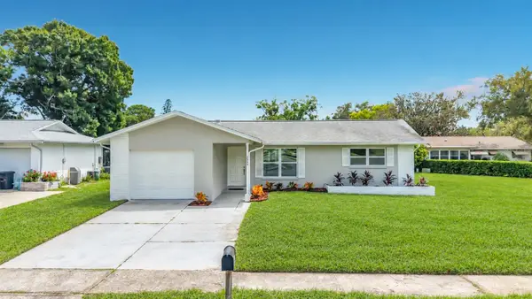 2950 Curling Court, PALM HARBOR, FL 34684