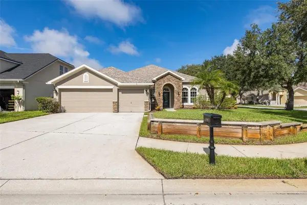 15220 Octavia Lane, ODESSA, FL 33556