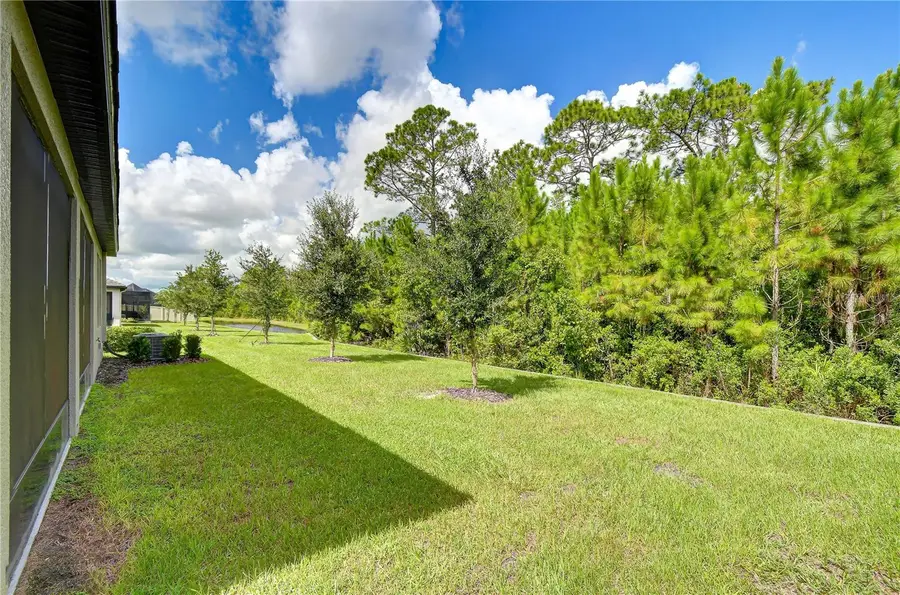 10577 Banyan Breeze Boulevard, Land O Lakes, FL 34638 - #3