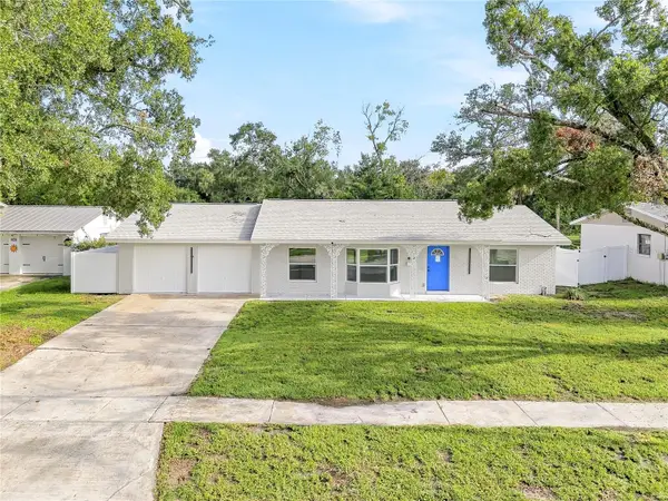 8011 Fountain Avenue, TAMPA, FL 33615
