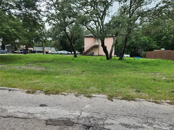 1006 E Poinsettia Avenue, TAMPA, FL 33612