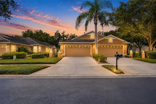 19126 White Wing Place, TAMPA, FL 33647