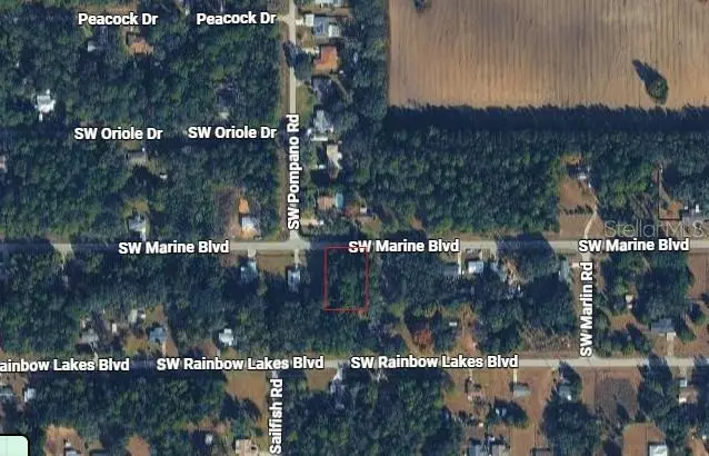 20550 Marine Boulevard, Dunnellon, FL 34431 - #3