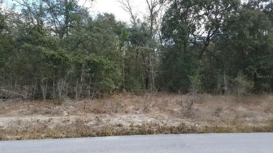0 SE 88th Ct, Summerfield, FL 34491 - #2