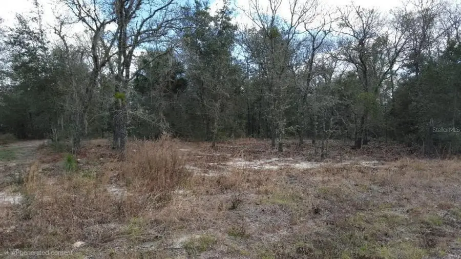 0 SE 88th Ct, Summerfield, FL 34491 - #3