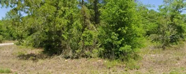 21943 Rainbow Lakes Boulevard, Dunnellon, FL 34431 - #1