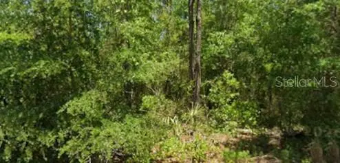 21425 Rainbow Lakes Boulevard, Dunnellon, FL 34431 - #1