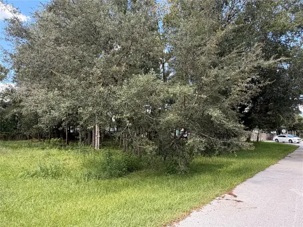 7457 W Turkeyneck Court, HOMOSASSA, FL 34448
