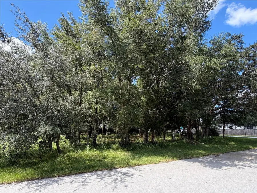 7457 W Turkeyneck Court, Homosassa, FL 34448 - #2
