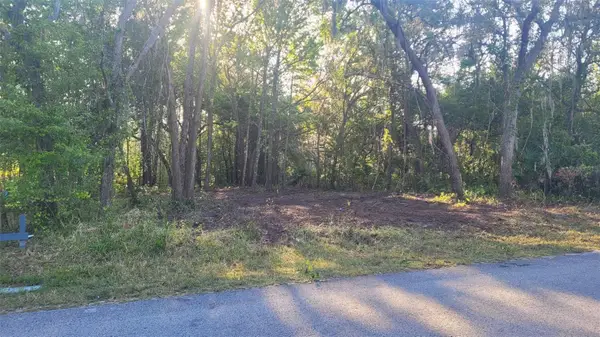 Marley Avenue, NEW PORT RICHEY, FL 34654