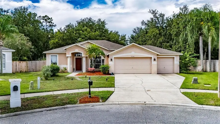 22240 Willow Lakes Drive, Lutz, FL 33549 - #2