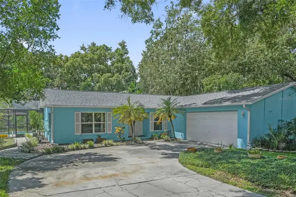 22002 Darley Place, LAND O LAKES, FL 34639