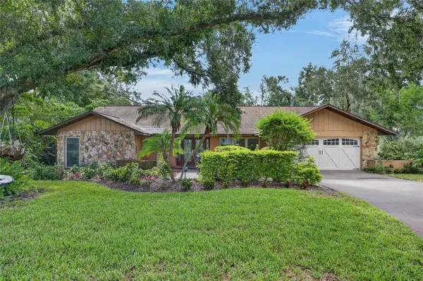 2203 Greenhills Drive, VALRICO, FL 33596