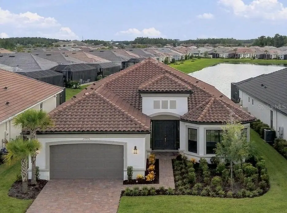 29596 Toricelli Road, Wesley Chapel, FL 33543 - #1