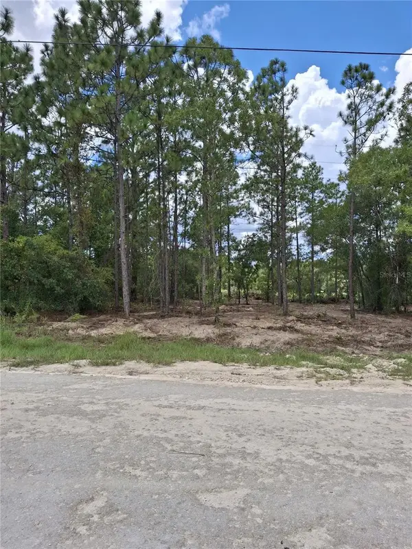 14167 Condor Road, WEEKI WACHEE, FL 34614