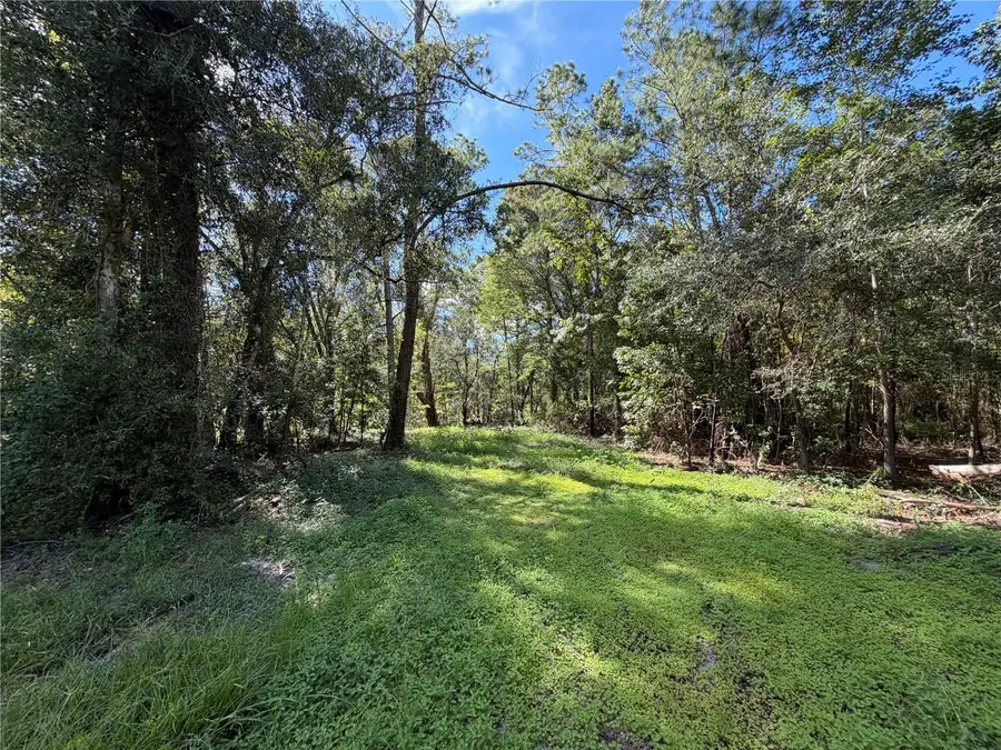 35436 Reynolds Street, Dade City, FL 33523 - #2