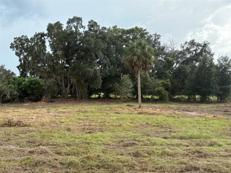 Pump Station Rd, Land O Lakes, FL 34639 - #3
