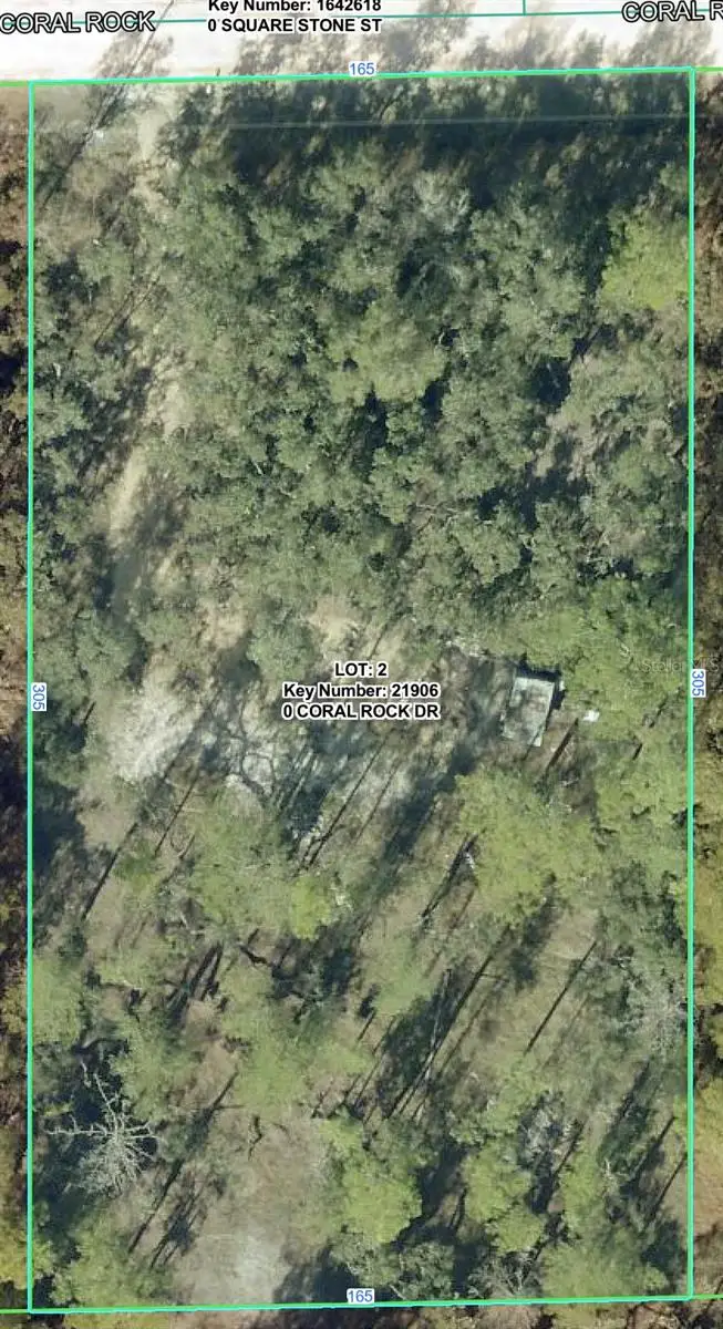 33258 Coral Rock Drive, Webster, FL 33597 - #2
