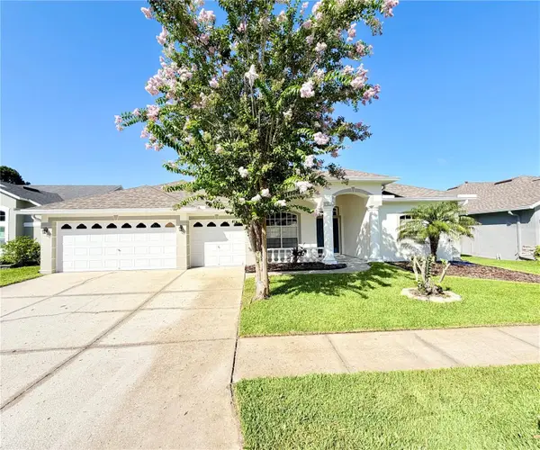 14606 Coral Berry Drive, TAMPA, FL 33626