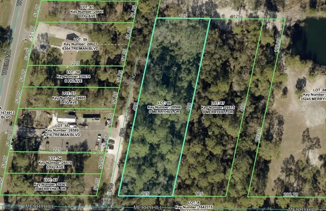 Merryhill Drive, Webster, FL 33597 - #1