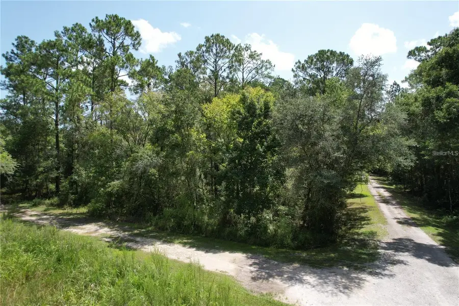 Merryhill Drive, Webster, FL 33597 - #2