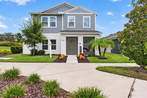 13010 Boggy Creek Drive, RIVERVIEW, FL 33579