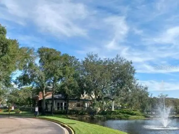 10024 Strafford Oak Court #807, TAMPA, FL 33624