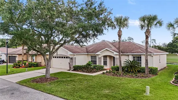 10223 Collar Drive, SAN ANTONIO, FL 33576