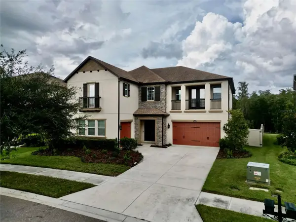 29404 Picana Lane, WESLEY CHAPEL, FL 33543