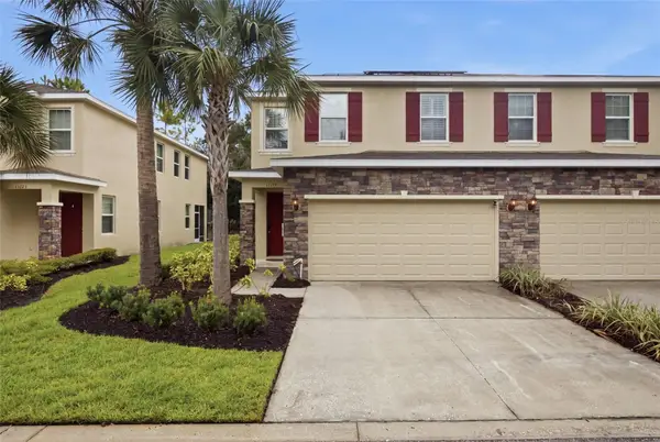 13219 Canopy Creek Drive, TAMPA, FL 33625