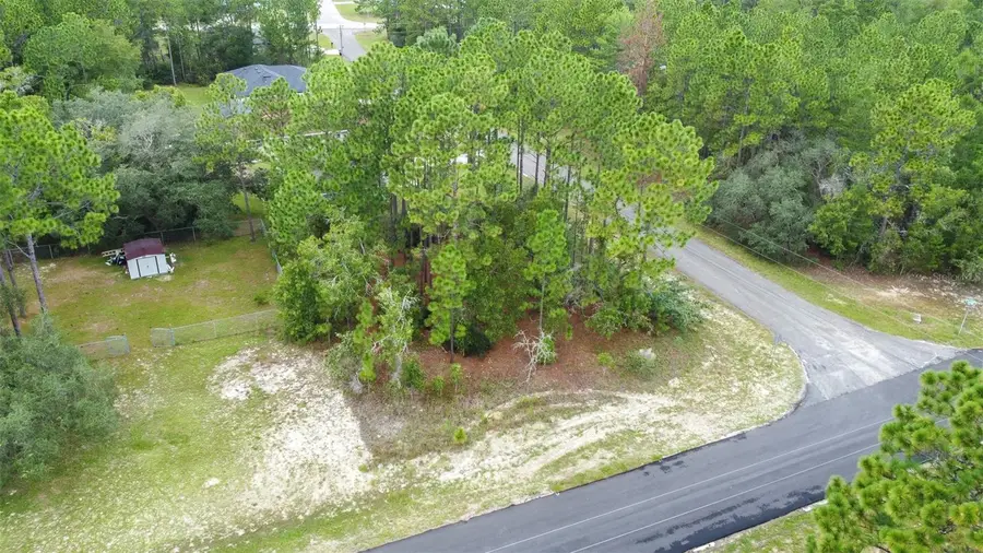 7662 N Galt Point, Citrus Springs, FL 34434 - #2