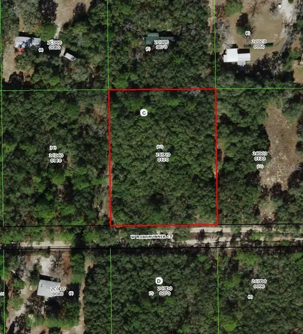 4385 W Roadrunner Court, HOMOSASSA, FL 34446