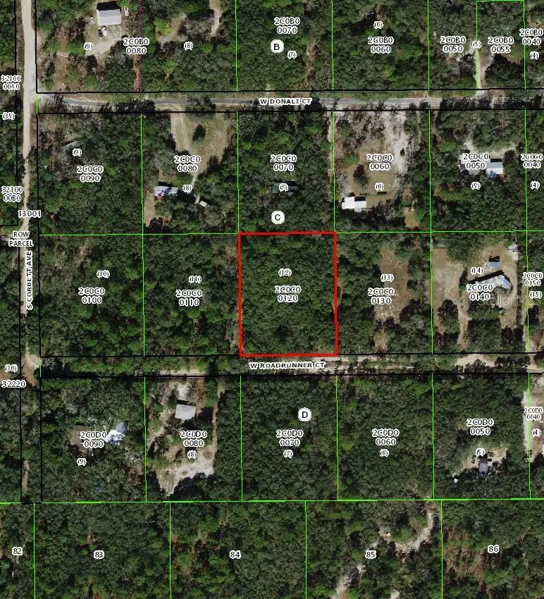 4385 W Roadrunner Court, Homosassa, FL 34446 - #2