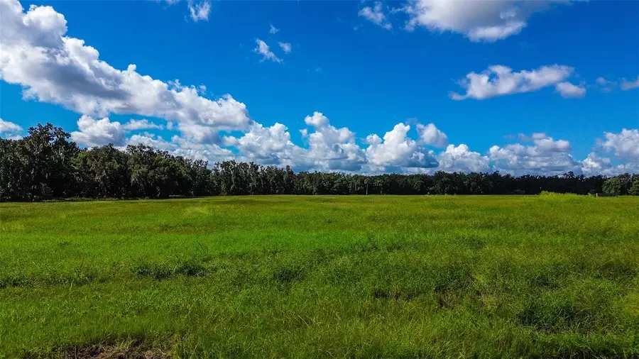 00 Miller Road, Dade City, FL 33525 - #3